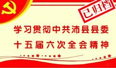 學(xué)習(xí)貫徹中共沛縣縣委十五屆六次全會(huì)精神（已歸檔）